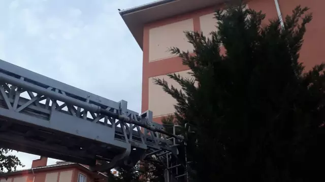 AFYONKARAHİSAR - Yuvasından düşen yavru kuşlar için seferber oldular AFYONKARAHİSAR - Yuvasından düşen yavru kuşlar için seferber oldular