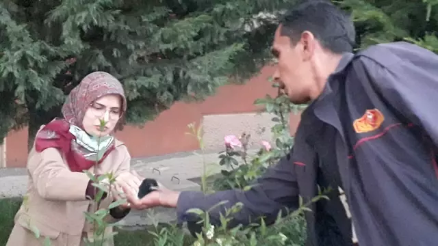 AFYONKARAHİSAR - Yuvasından düşen yavru kuşlar için seferber oldular AFYONKARAHİSAR - Yuvasından düşen yavru kuşlar için seferber oldular