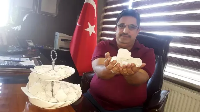 Bitlis'in 'beyaz altın'ı ekonomiye katkı sağlıyor Bitlis'in 'beyaz altın'ı ekonomiye katkı sağlıyor