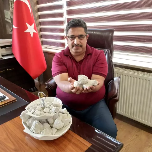 Bitlis'in 'beyaz altın'ı ekonomiye katkı sağlıyor Bitlis'in 'beyaz altın'ı ekonomiye katkı sağlıyor