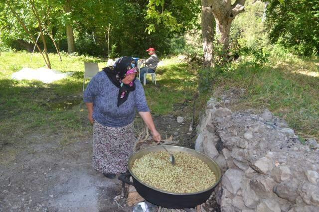 Cumhurbaşkanı Erdoğan'ın koronaya karşı tavsiye ettiği lezzetin dalından sofraya yolculuğu başladı