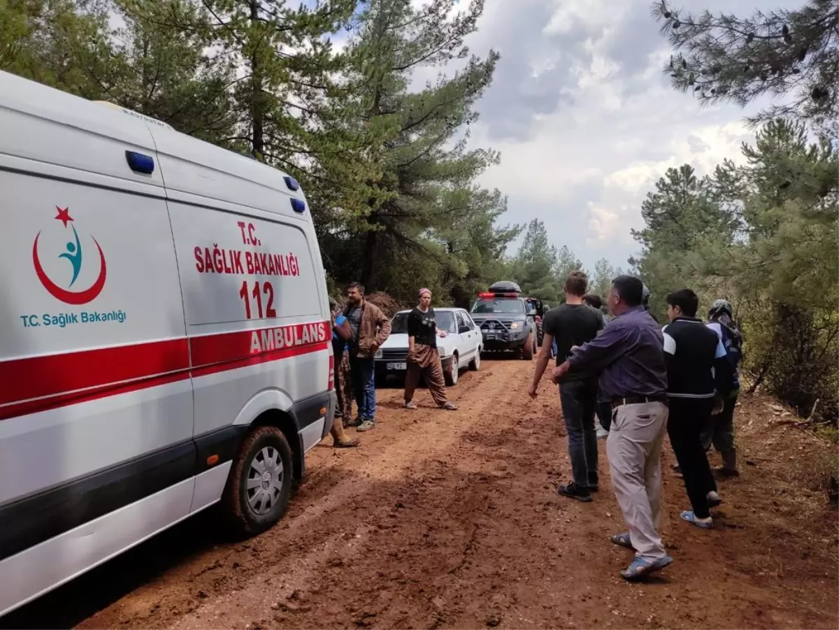 Kekik tarlasına yıldırım isabet etti: 2'si ağır 6 yaralı