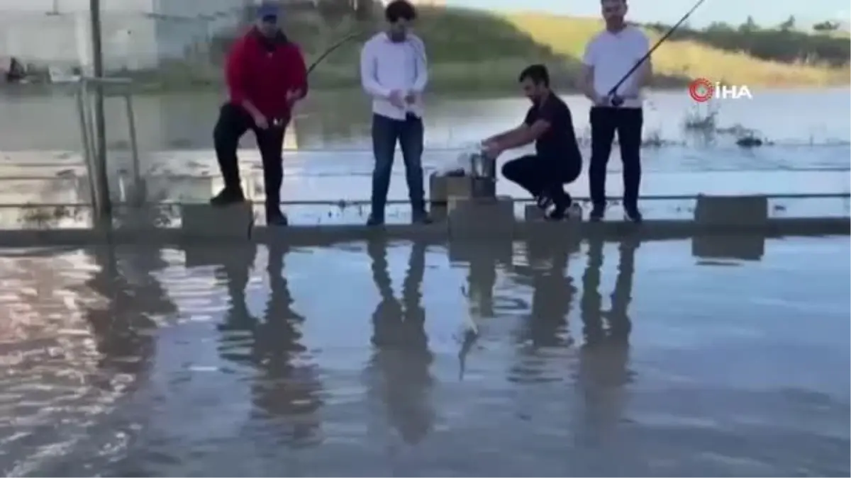 Göle dönen yolları alay konusu oldu: Balık tutup, mangal yaktılar