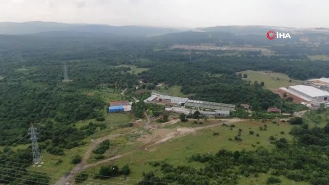 iyi parti li lutfu turkkan in kacak ciftligi 14214557 o