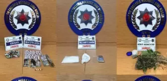 Sentetik Uyuşturucu: İzmir'de uyuşturucu operasyonlarında yakalanan 15 şüpheli tutuklandı Sentetik Uyuşturucu: İzmir'de uyuşturucu operasyonlarında yakalanan 15 şüpheli tutuklandı