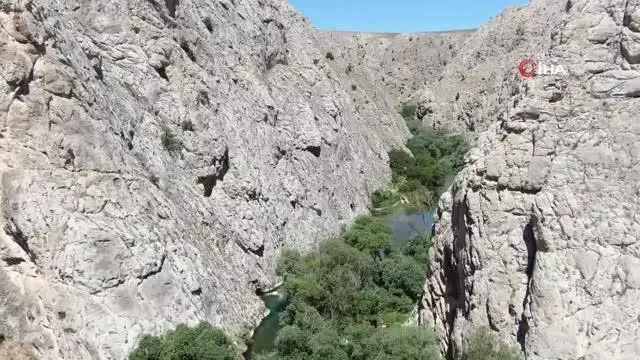 Kaymakam tanıtım için kendini Tohma Çayı'nın sularına bıraktı Kaymakam tanıtım için kendini Tohma Çayı'nın sularına bıraktı