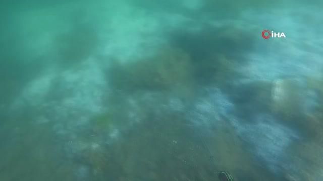 musilajin deniz altindaki tahribati boyle 3 14213854 o