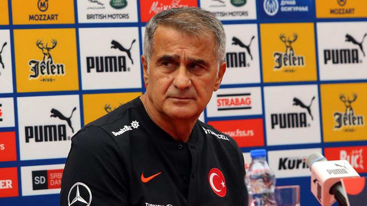Şenol Güneş'in İsviçre maçından sonra kullandığı ifadelere basın mensupları tepki gösterdi