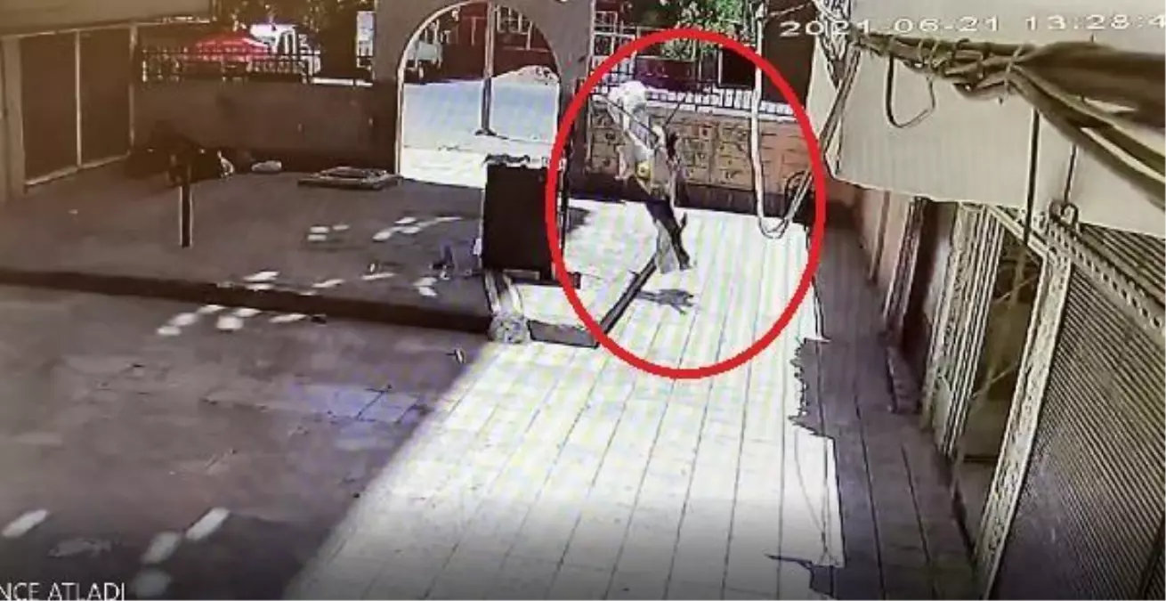 Misafir olarak gittiği evde tartıştığı kişi silah çekince 7'nci kattan atladı! O anlar kamerada