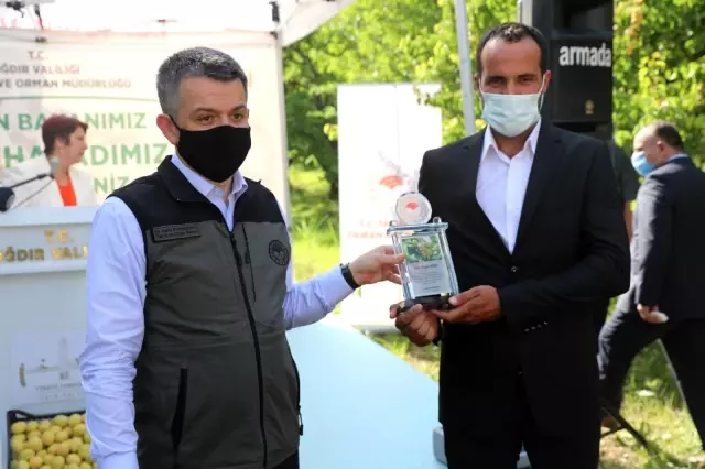 Bakan Pakdemirli, Iğdır'da kayısı hasadına katıldı