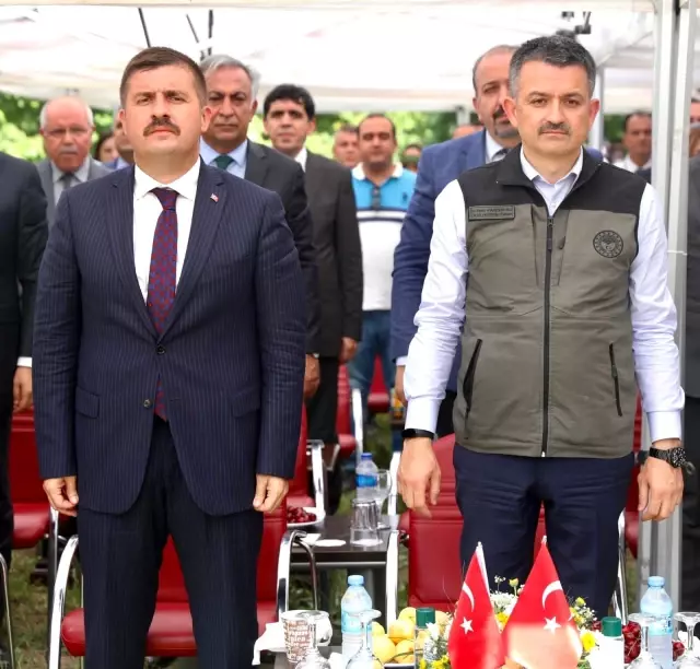 Bakan Pakdemirli, Iğdır'da kayısı hasadına katıldı