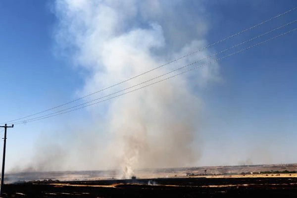 Diyarbakır'da havalimanı yakınında anız yangını