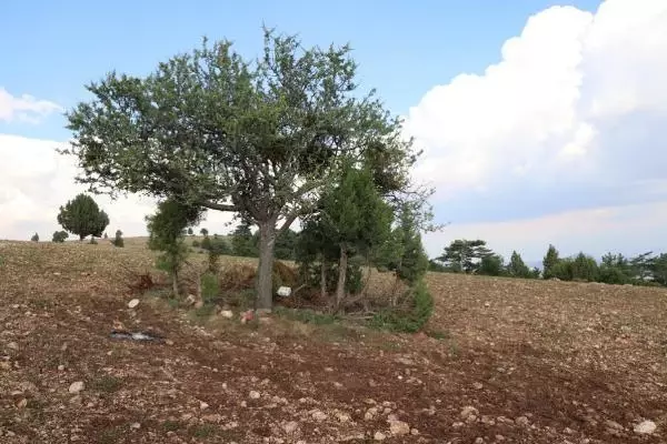 Mucize kurtuluş! Engelli Arda'yı yıldırım çarpmasından römork lastikleri kurtardı