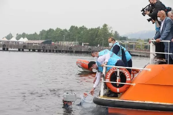 Deniz salyasına karşı yeni yöntem! İzmit Körfezi'ne oksijen makineleri bırakıldı