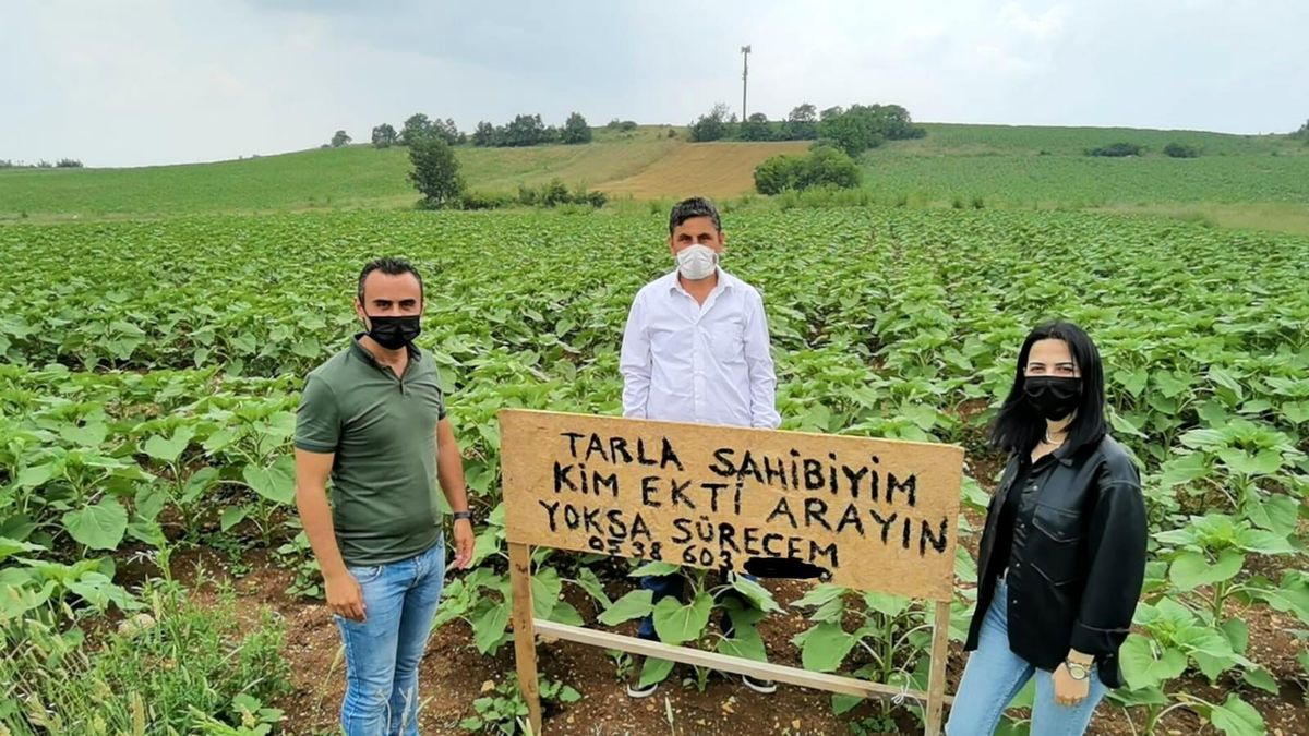 Kendisinden habersiz tarlasına başkası ekim yapınca, bu tabelayı astı: Kim ekti, arayın yoksa süreceğim