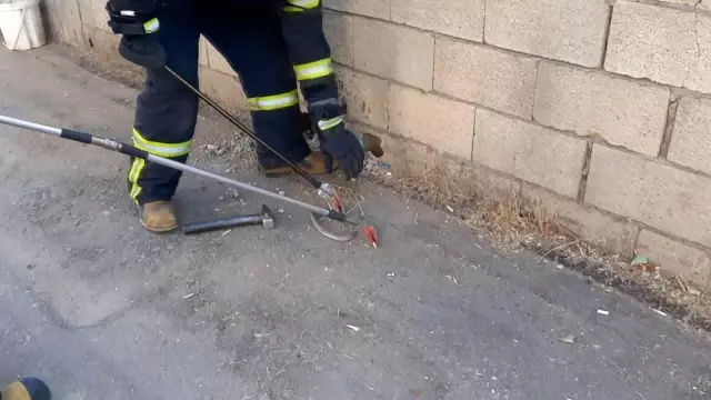 Kent merkezinde yılan operasyonu