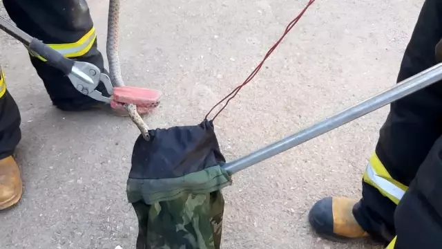 Kent merkezinde yılan operasyonu