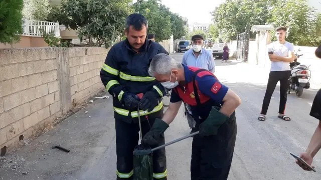 Kent merkezinde yılan operasyonu