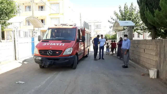 Kent merkezinde yılan operasyonu