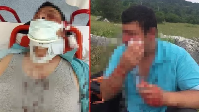 Lütfü Türkkan'ın kaçak çiftliğinin yıkımını görüntüleyen muhabir darbedildi Lütfü Türkkan'ın kaçak çiftliğinin yıkımını görüntüleyen muhabir darbedildi