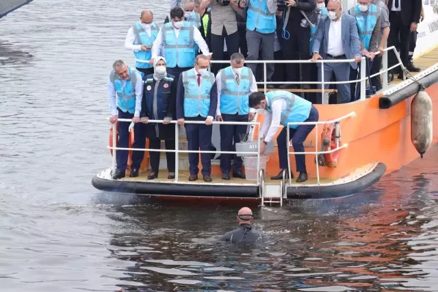 Marmara Denizi'nin oksijen seviyesini artıracak cihazlar denize bırakıldı