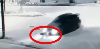 Yolun ortasındaki köpeği ezip geçen sürücü, arkasına bile bakmadan kaçtı