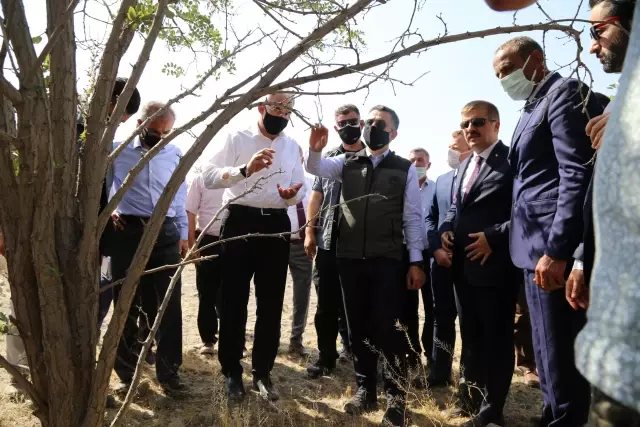 Son dakika gündem: Tarım ve Orman Bakanı Bekir Pakdemirli, Iğdır'da konuştu Açıklaması Son dakika gündem: Tarım ve Orman Bakanı Bekir Pakdemirli, Iğdır'da konuştu Açıklaması