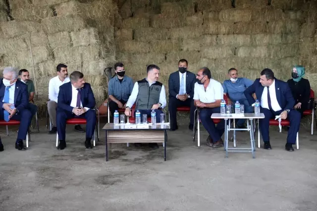 Tarım ve Orman Bakanı Pakdemirli'den yem fiyatlarına ilişkin açıklama Tarım ve Orman Bakanı Pakdemirli'den yem fiyatlarına ilişkin açıklama