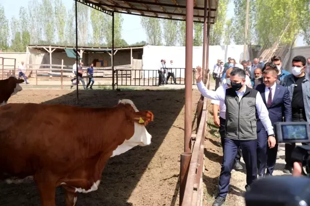 Tarım ve Orman Bakanı Pakdemirli'den yem fiyatlarına ilişkin açıklama