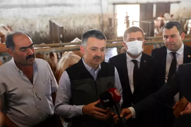 Tarım ve Orman Bakanı Pakdemirli'den yem fiyatlarına ilişkin açıklama