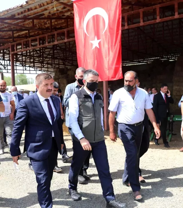 Tarım ve Orman Bakanı Pakdemirli'den yem fiyatlarına ilişkin açıklama