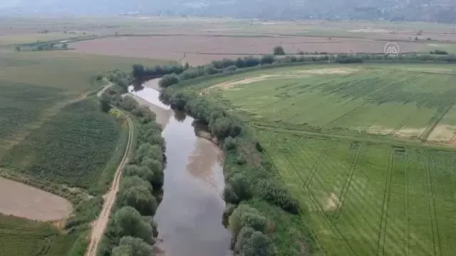 Üretici, kuraklığın etkilerini alternatif ürünlerle azaltmaya çalışıyor Üretici, kuraklığın etkilerini alternatif ürünlerle azaltmaya çalışıyor