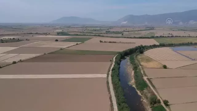 Üretici, kuraklığın etkilerini alternatif ürünlerle azaltmaya çalışıyor Üretici, kuraklığın etkilerini alternatif ürünlerle azaltmaya çalışıyor
