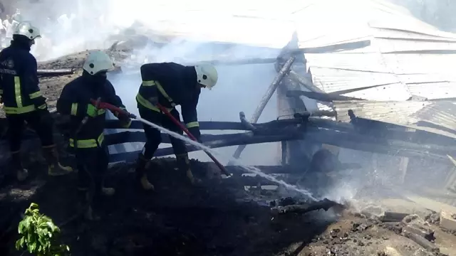 Son Dakika | Van'da ahır yangını; 3 yaralı