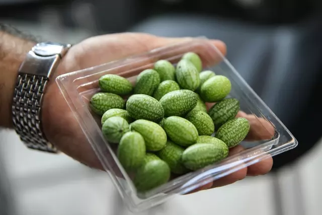 1. Uluslararası Turizm Gastronomisi ve Ağırlama Zirvesi düzenlendi