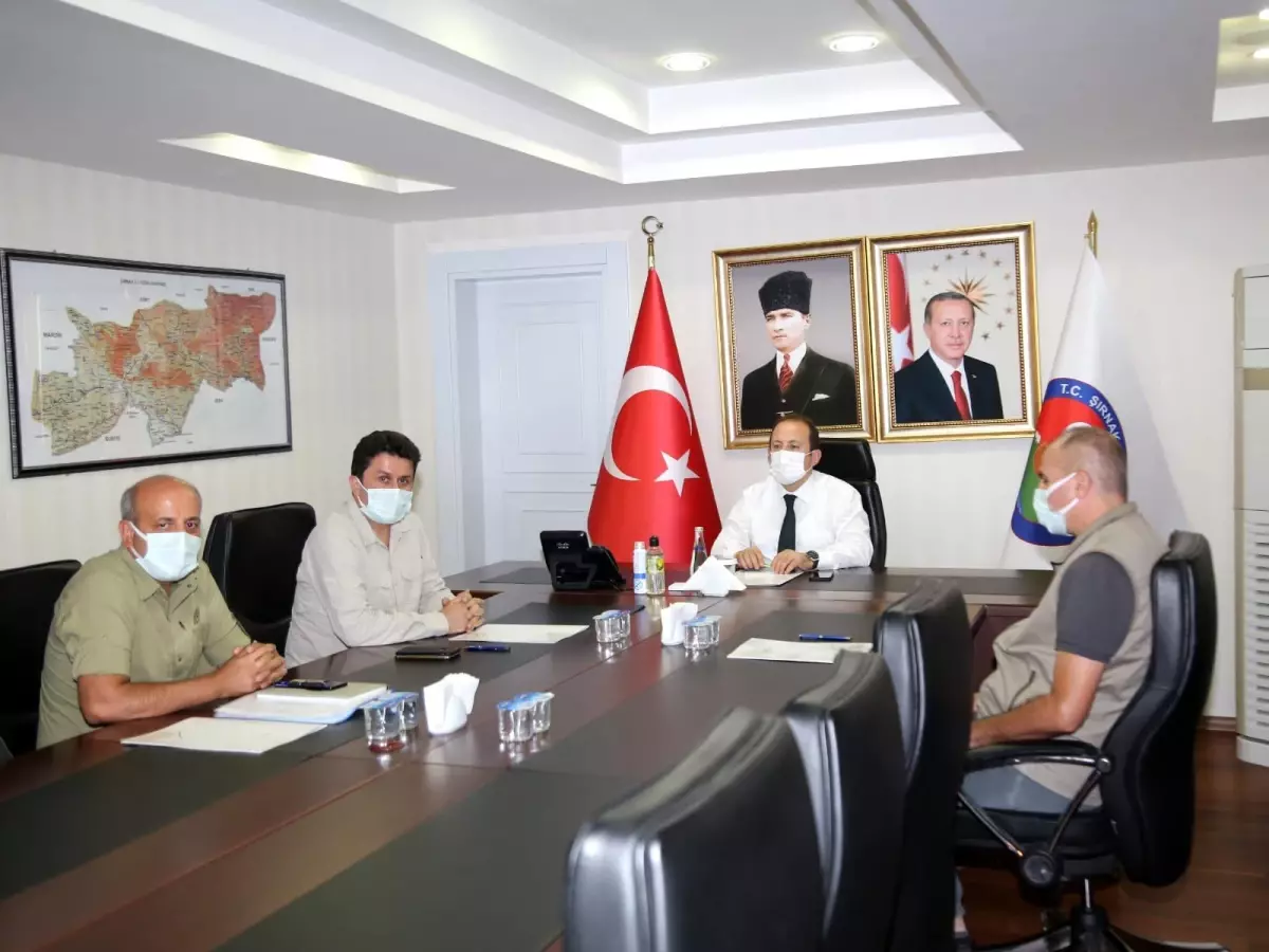 Cudi Dağı'nın Milli Park İlan Edilmesiyle İlgili Çalışmalar Devam Ediyor