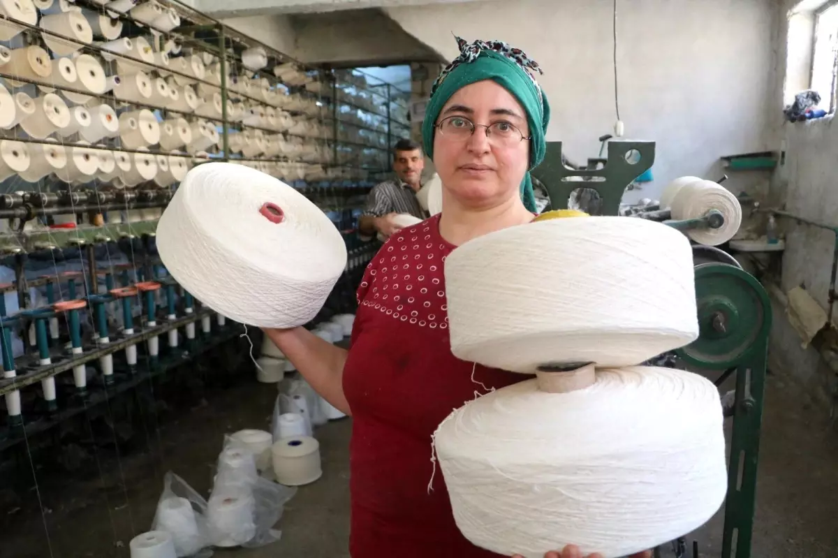 Hem hayatı hem işi paylaşıyorlar