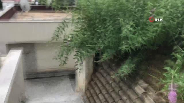 iha muhabirini darp eden saldirganlardan biri 4 14220810 o