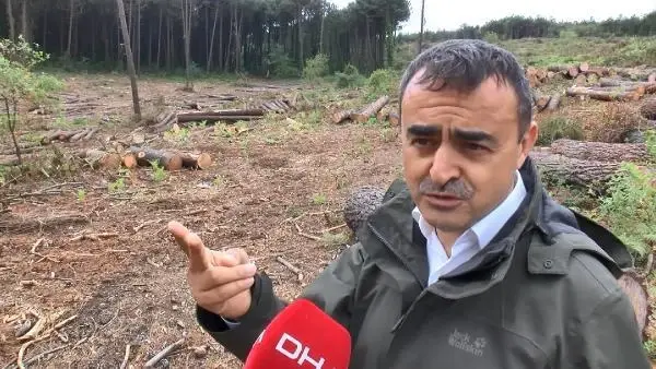 İSTANBUL'UN AKCİĞERİ BELGRAD ORMANI'NDA TIRAŞLAMA 1