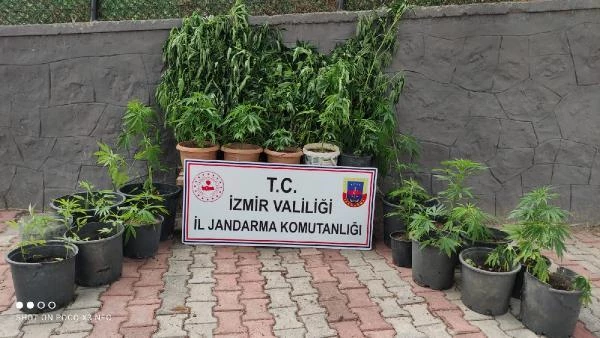İzmir'de uyuşturucu tacirlerine operasyon; 11 gözaltı