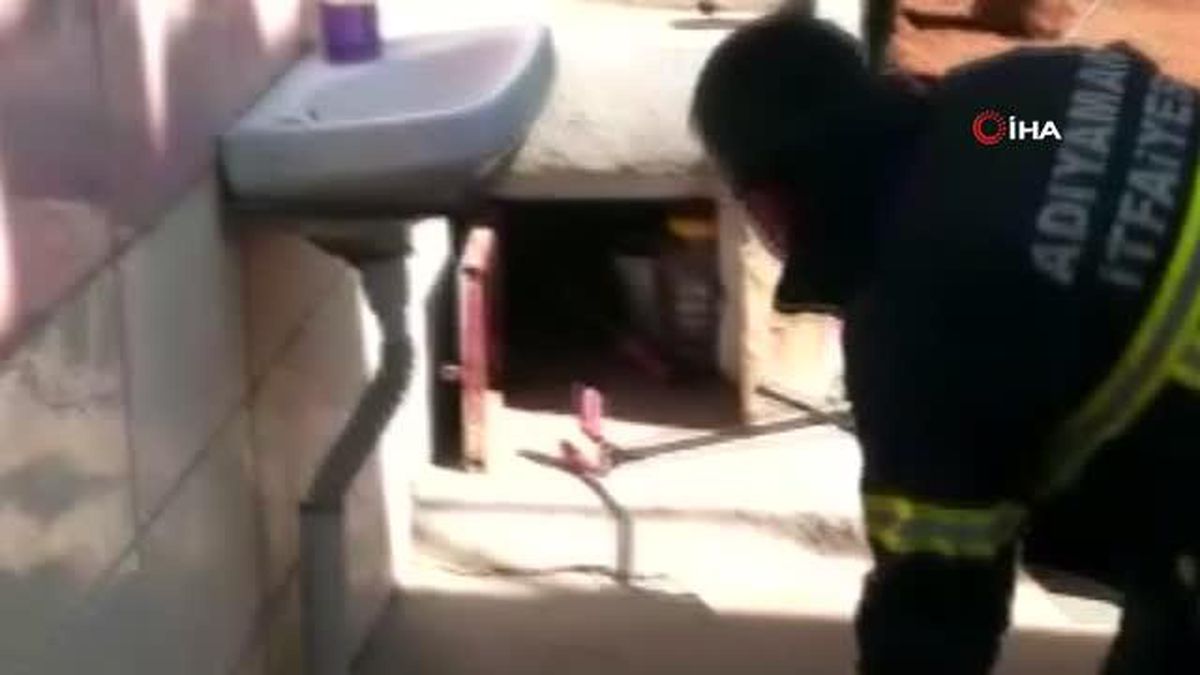 Panik anları! Kümese giren dev yılan, köşeye sıkışınca itfaiye erinin yüzüne doğru saldırdı