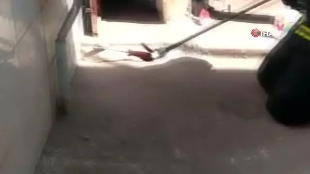 Panik anları! Kümese giren dev yılan, köşeye sıkışınca itfaiye erinin yüzüne doğru saldırdı