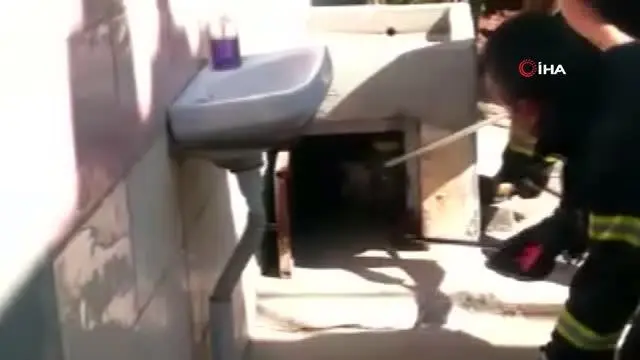 Panik anları! Kümese giren dev yılan, köşeye sıkışınca itfaiye erinin yüzüne doğru saldırdı