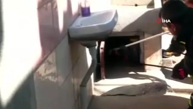Panik anları! Kümese giren dev yılan, köşeye sıkışınca itfaiye erinin yüzüne doğru saldırdı