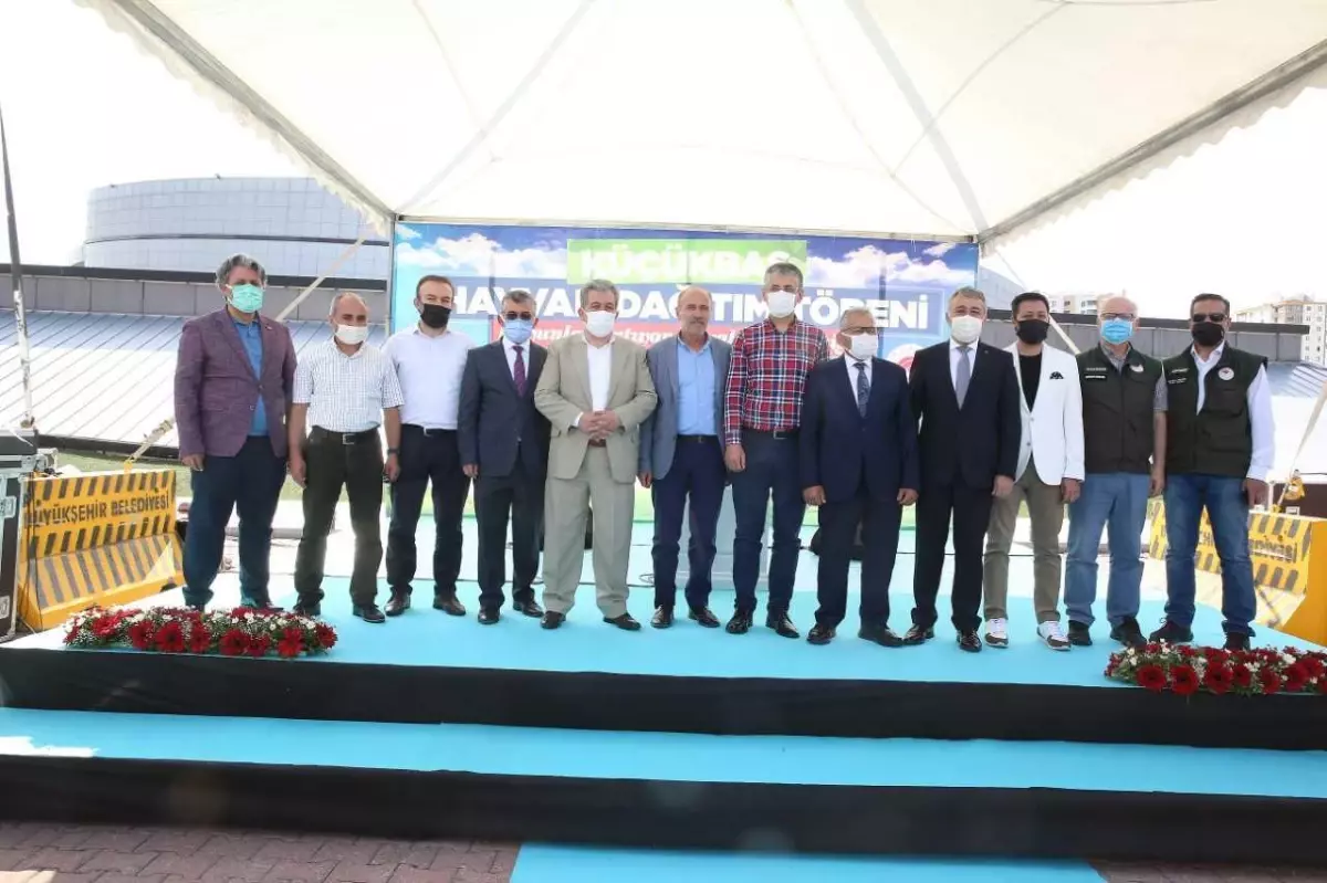 Kayseri Büyükşehir Belediyesi 55 aileye 1100 damızlık koyun ve koç dağıttı