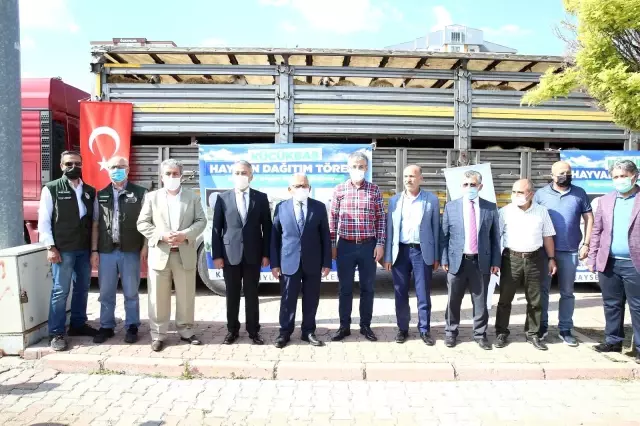 Koyunlar Artıyor Meralar Şenleniyor projesi ile 55 aileye bin 100 küçükbaş verildi