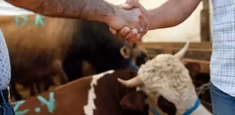 Bayram: Kurban pazarlarında hareketlilik başladı! Fiyatları uygun bulan da var pahalı bulan da Bayram: Kurban pazarlarında hareketlilik başladı! Fiyatları uygun bulan da var pahalı bulan da