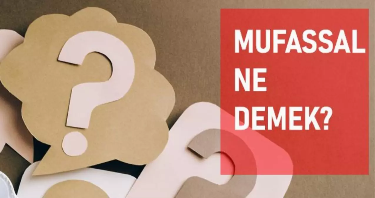Mufassal ne demek? Mufassal anlamı ne?
