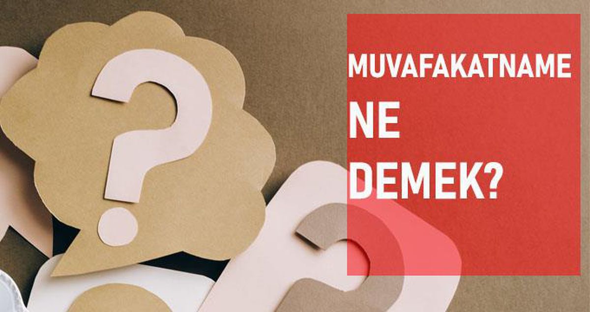 Muvafakatname ne demek? Muvafakatname anlamı ne?