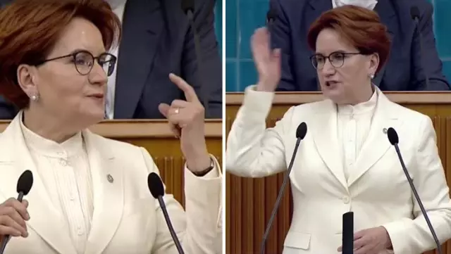 Parti grubunda konuşan Akşener'in kara sinekle mücadelesi: Acaba nereden geldi? Parti grubunda konuşan Akşener'in kara sinekle mücadelesi: Acaba nereden geldi?